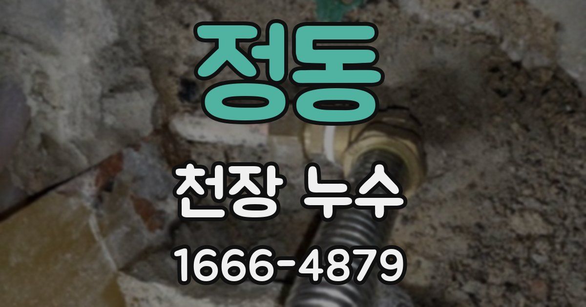 정동 천장 누수