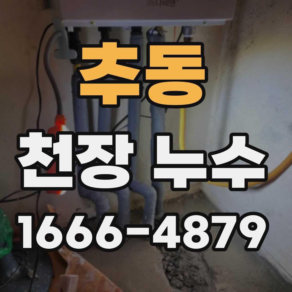 추동 천장 누수
