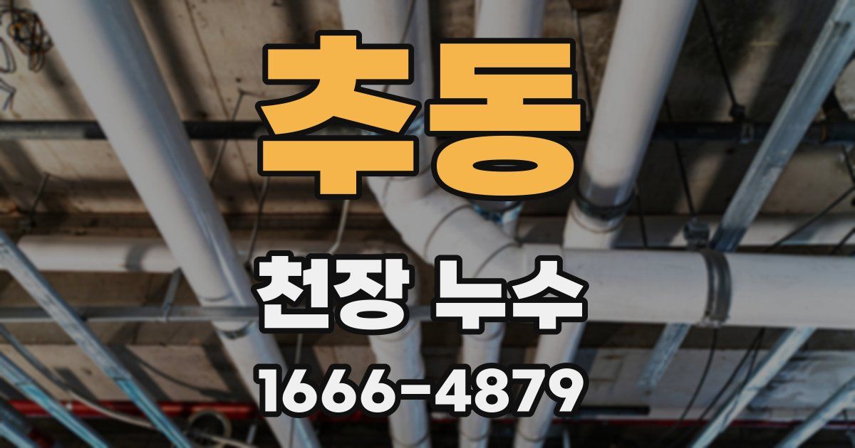 추동 천장 누수