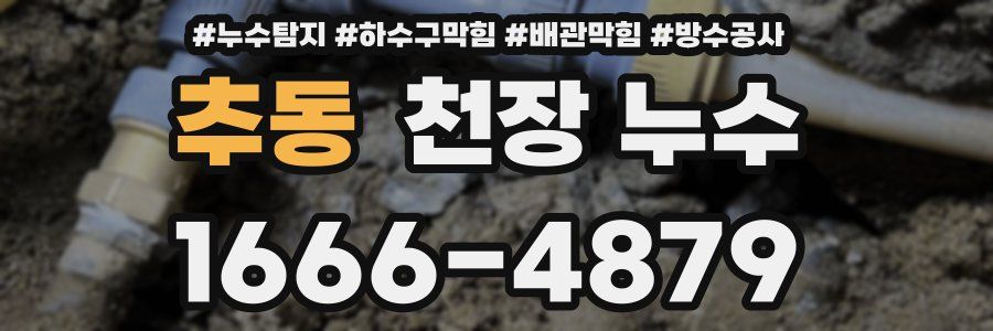 추동 천장 누수