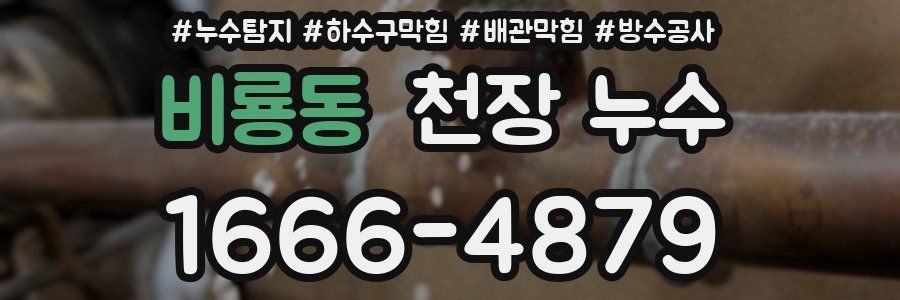 비룡동 천장 누수