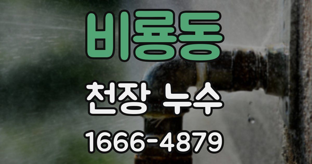비룡동 천장 누수