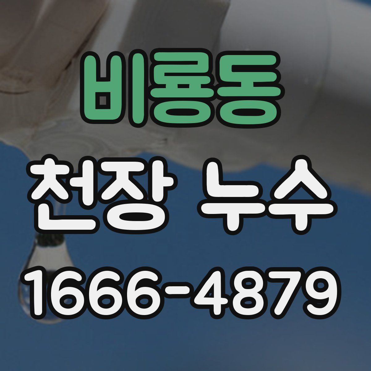비룡동 천장 누수