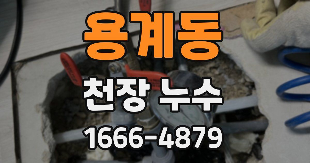 용계동 천장 누수