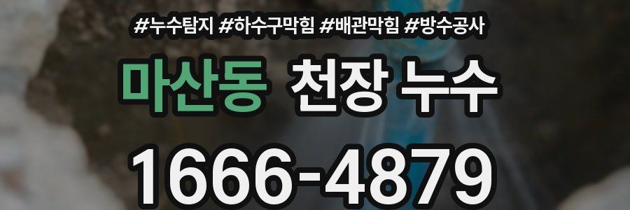 마산동 천장 누수