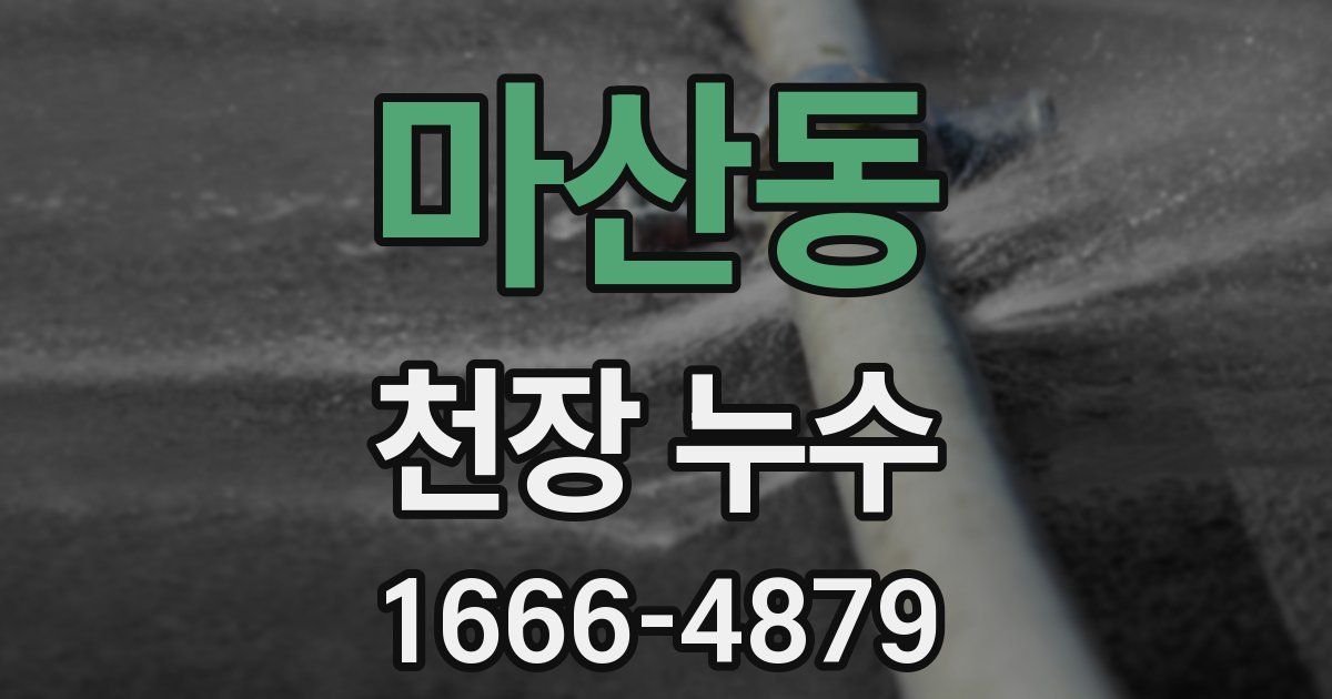 마산동 천장 누수