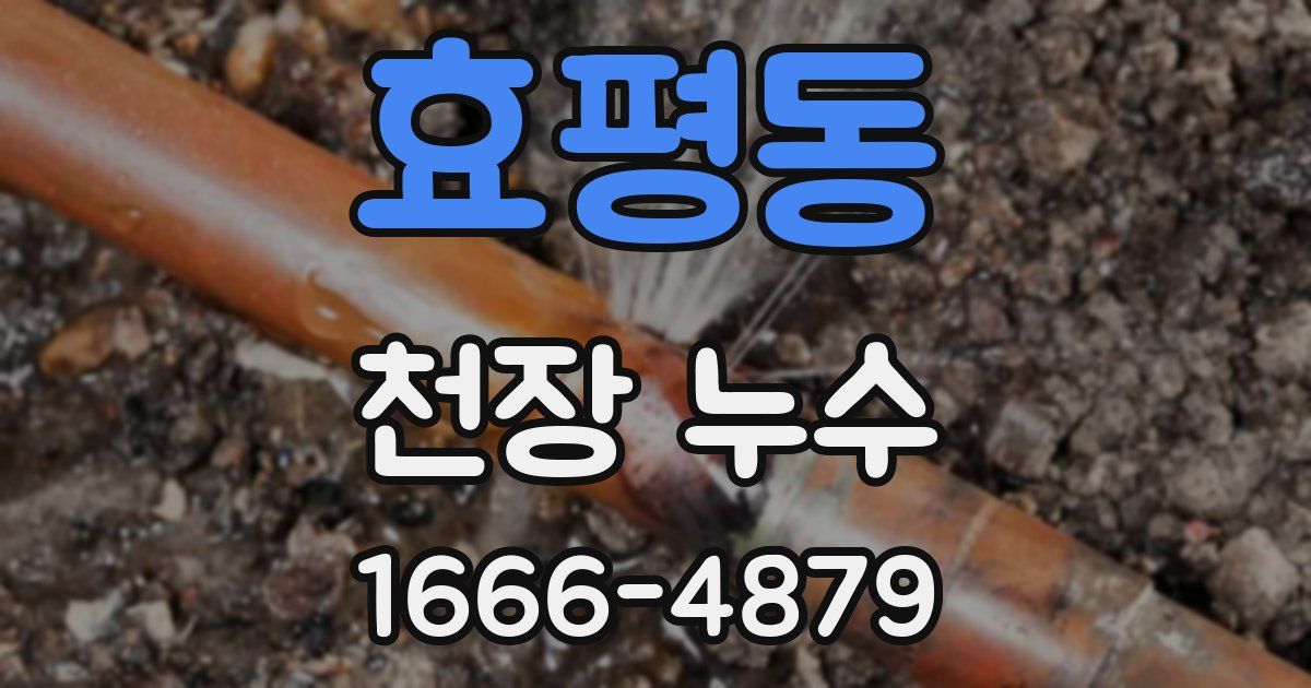 효평동 천장 누수