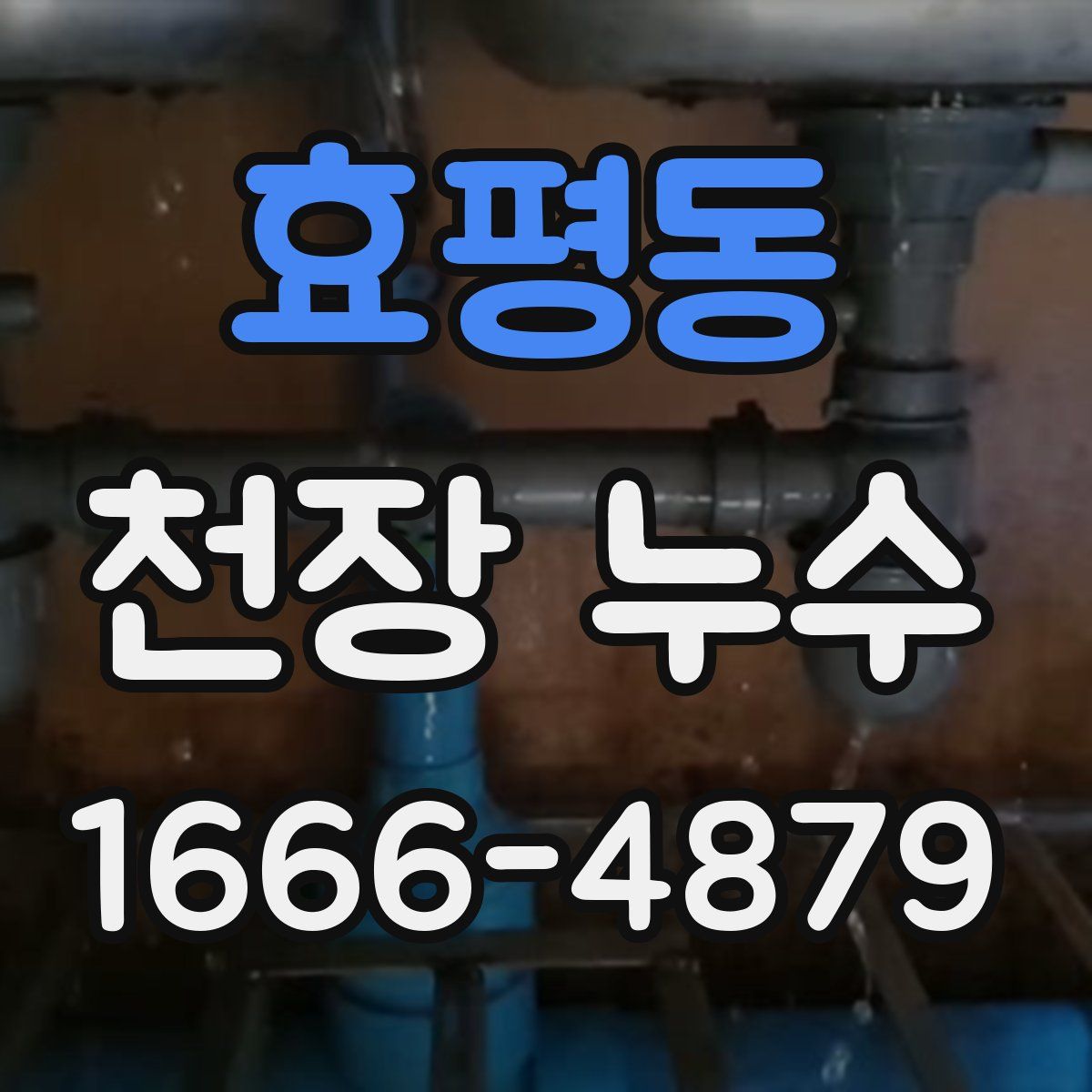 효평동 천장 누수