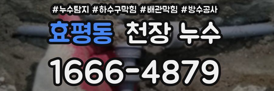 효평동 천장 누수
