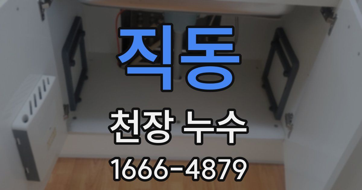 직동 천장 누수