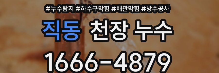 직동 천장 누수