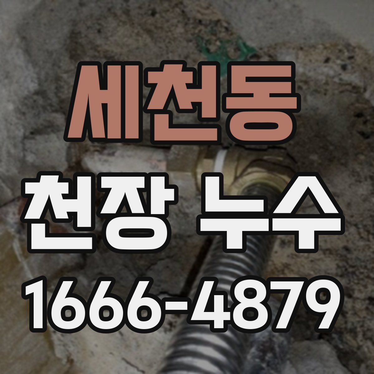 세천동 천장 누수