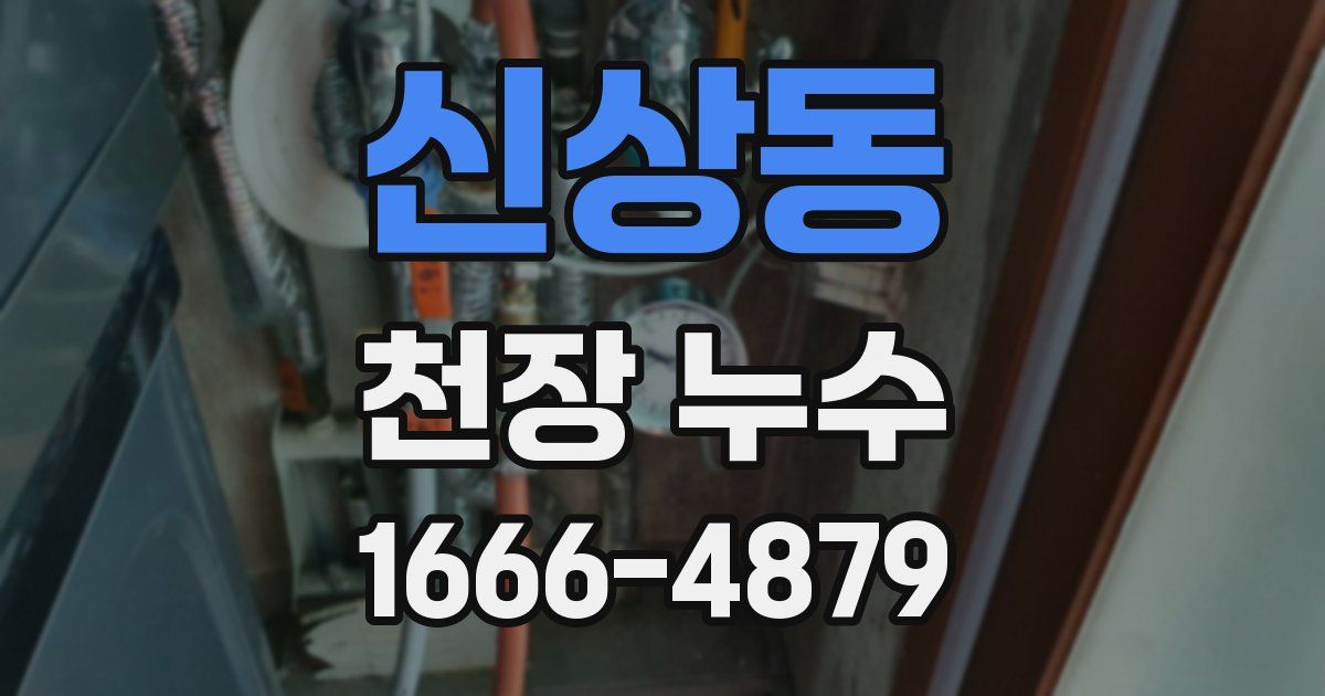 신상동 천장 누수