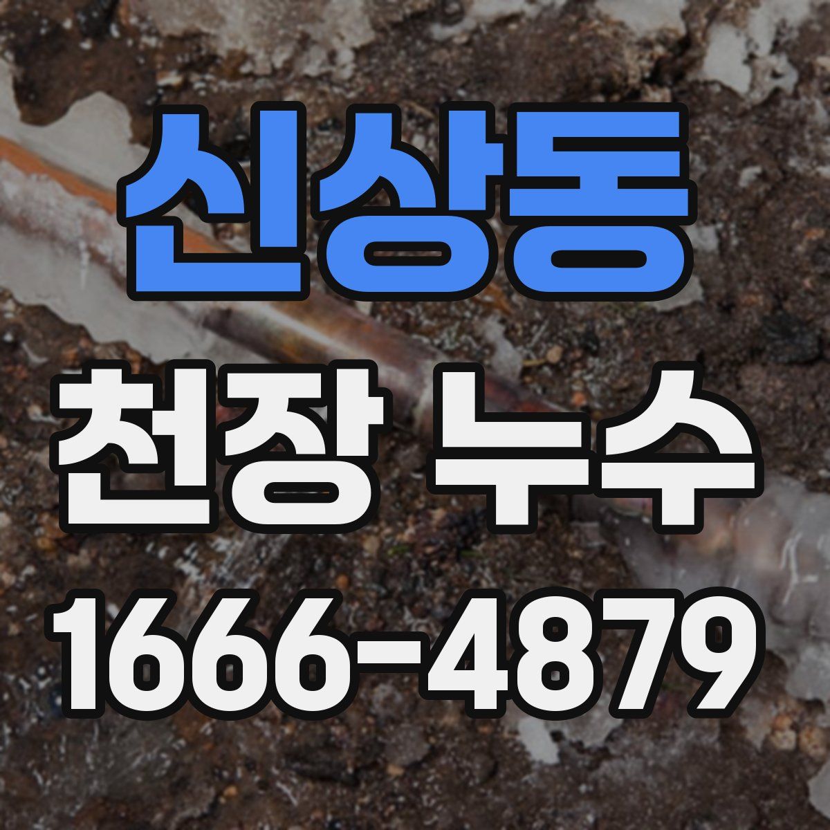 신상동 천장 누수