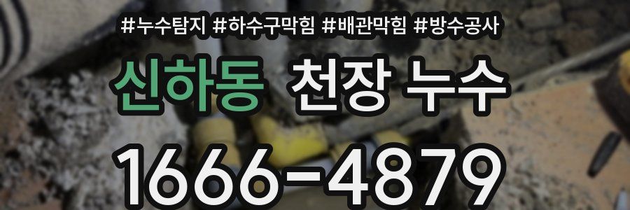 신하동 천장 누수