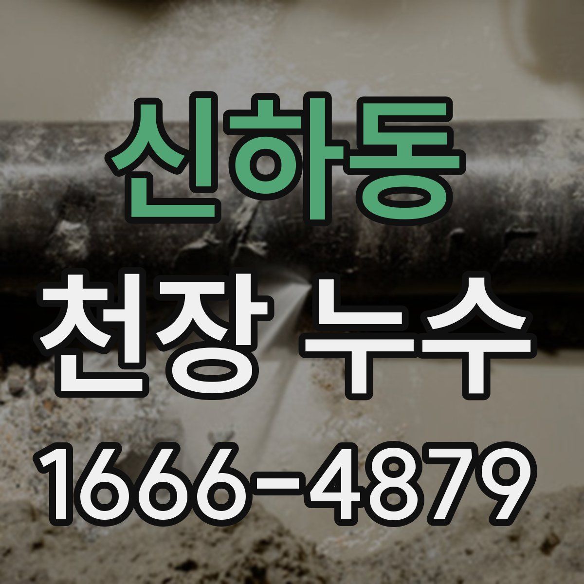 신하동 천장 누수