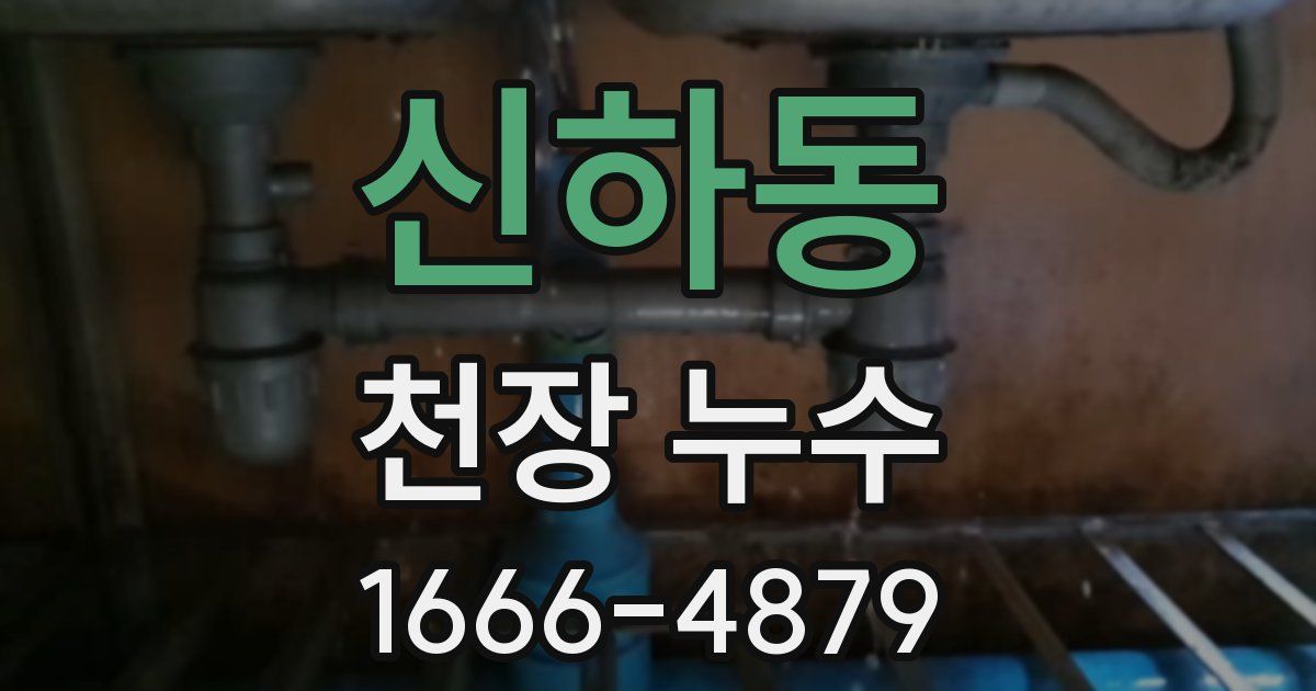 신하동 천장 누수