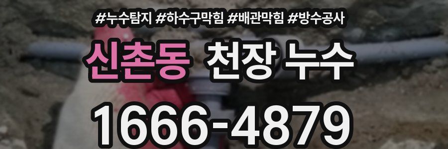 신촌동 천장 누수
