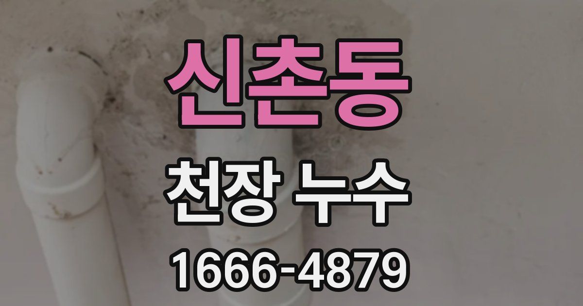신촌동 천장 누수