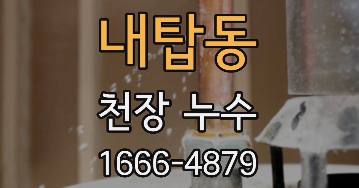 내탑동 천장 누수