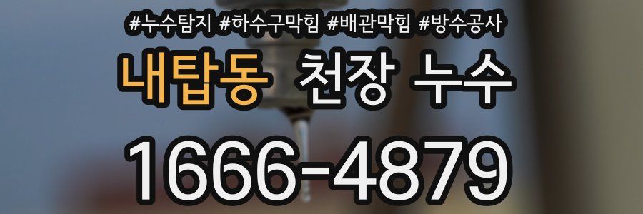 내탑동 천장 누수