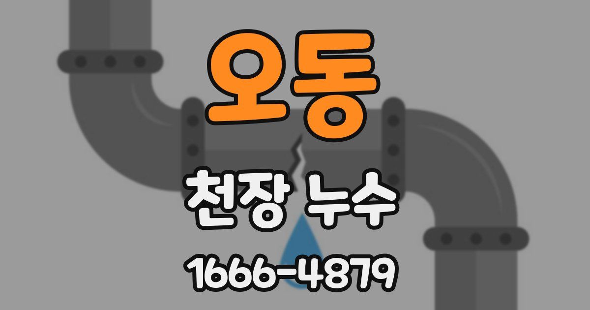 오동 천장 누수