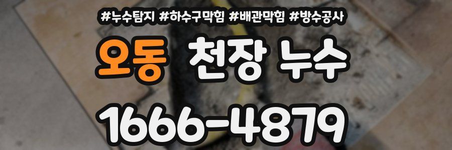 오동 천장 누수