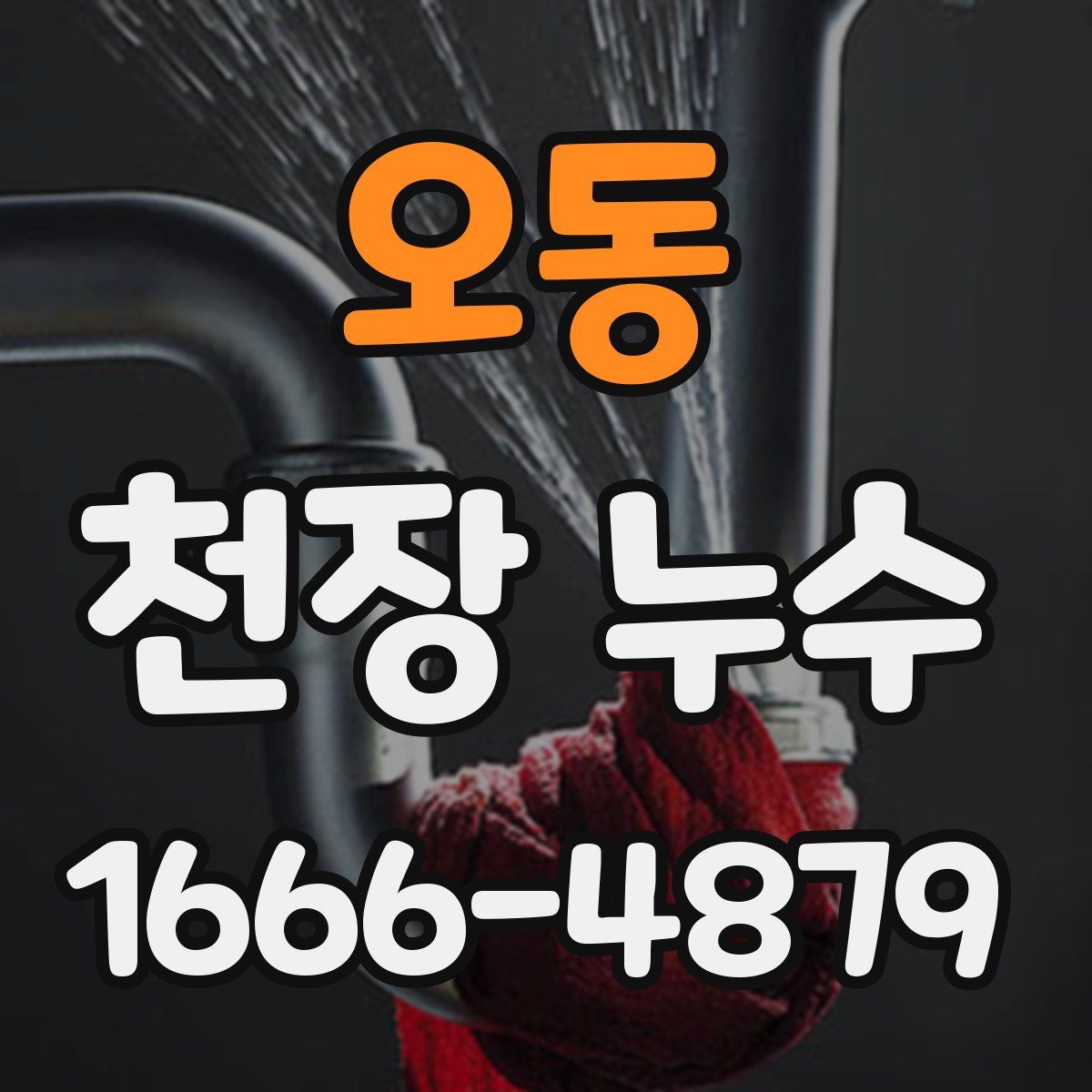 오동 천장 누수