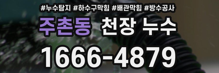 주촌동 천장 누수