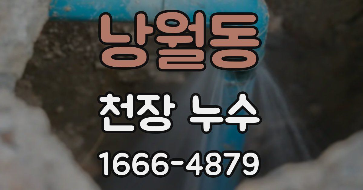 낭월동 천장 누수