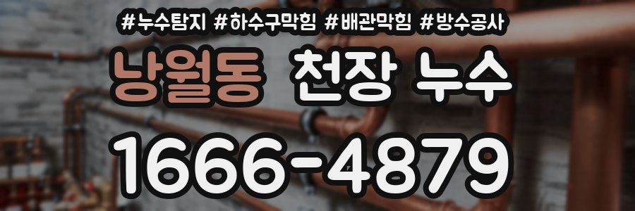 낭월동 천장 누수