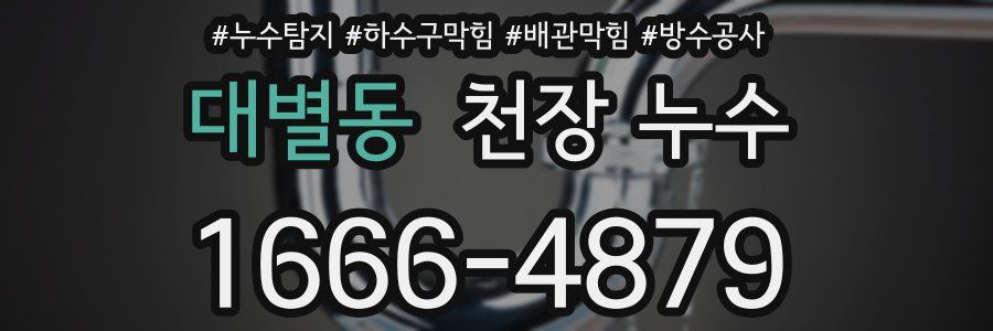 대별동 천장 누수