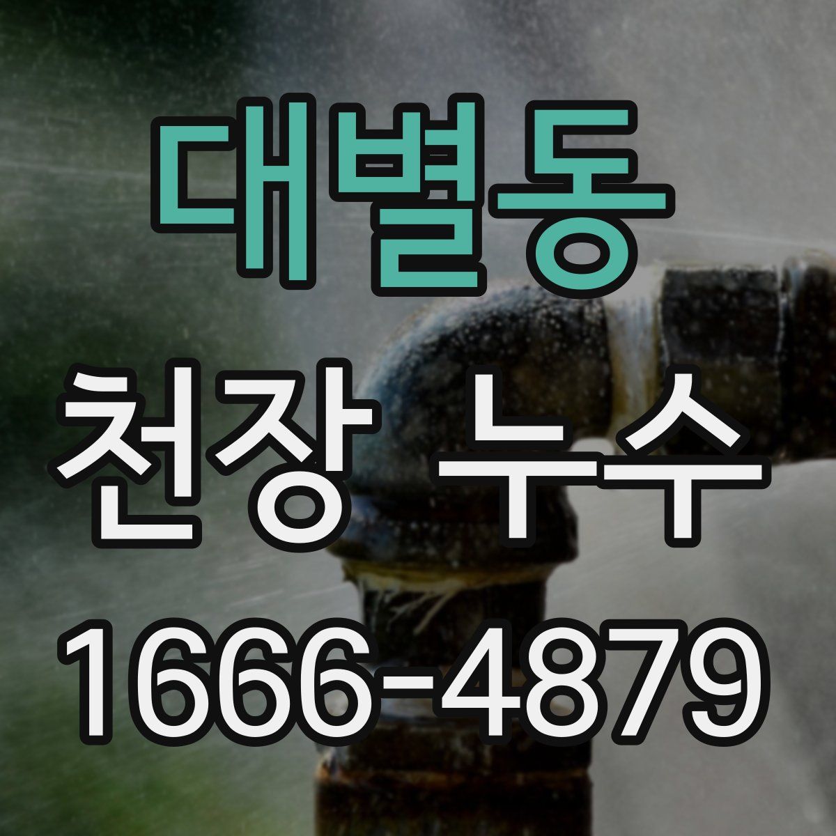 대별동 천장 누수