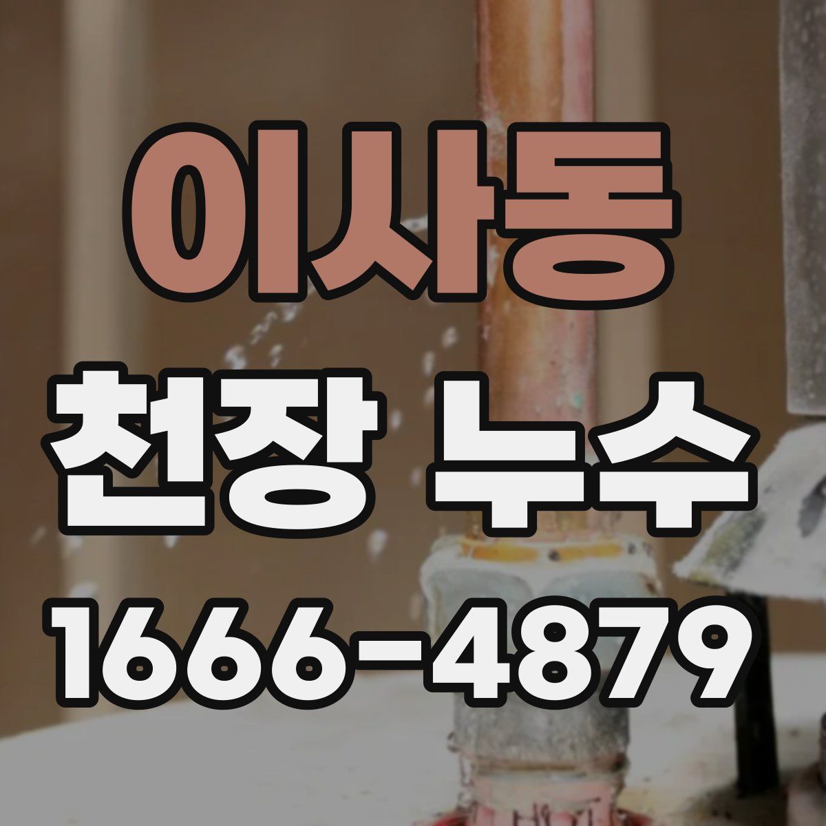 이사동 천장 누수