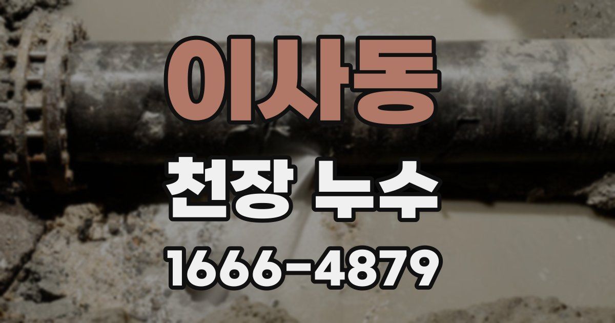 이사동 천장 누수