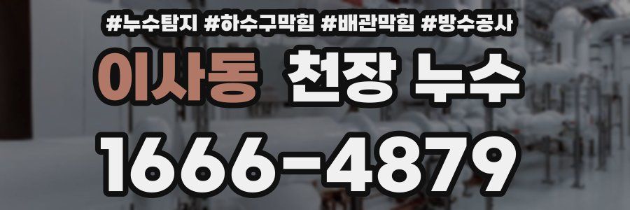 이사동 천장 누수