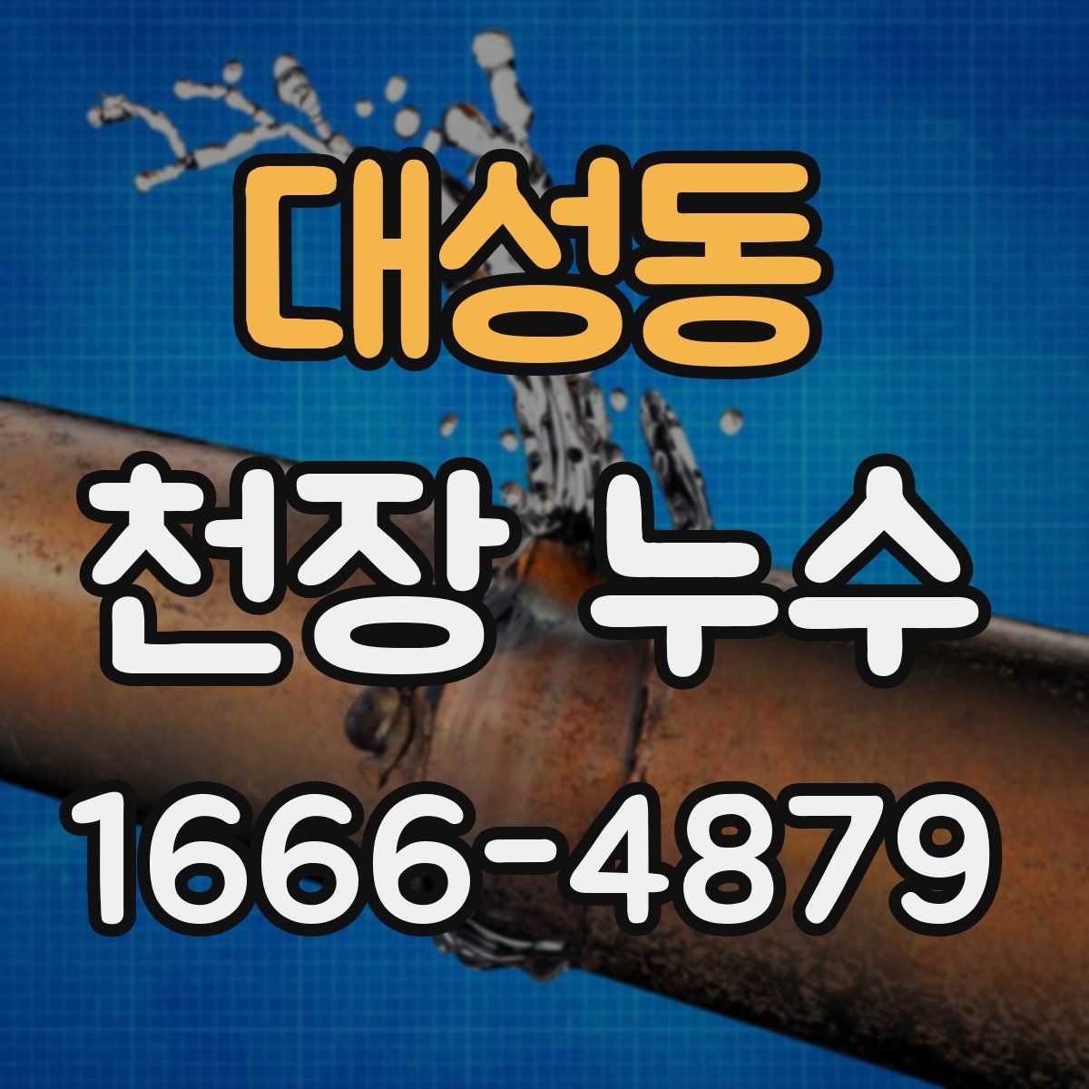 대성동 천장 누수