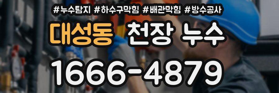 대성동 천장 누수