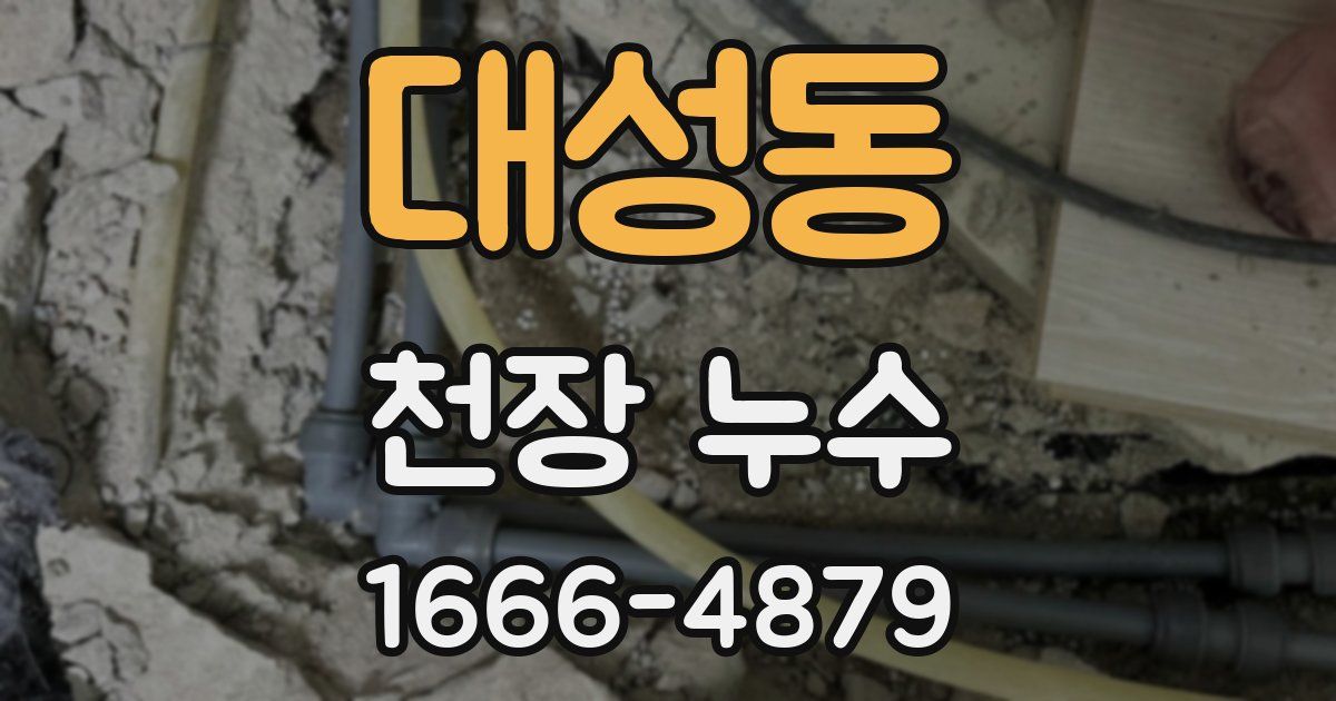 대성동 천장 누수