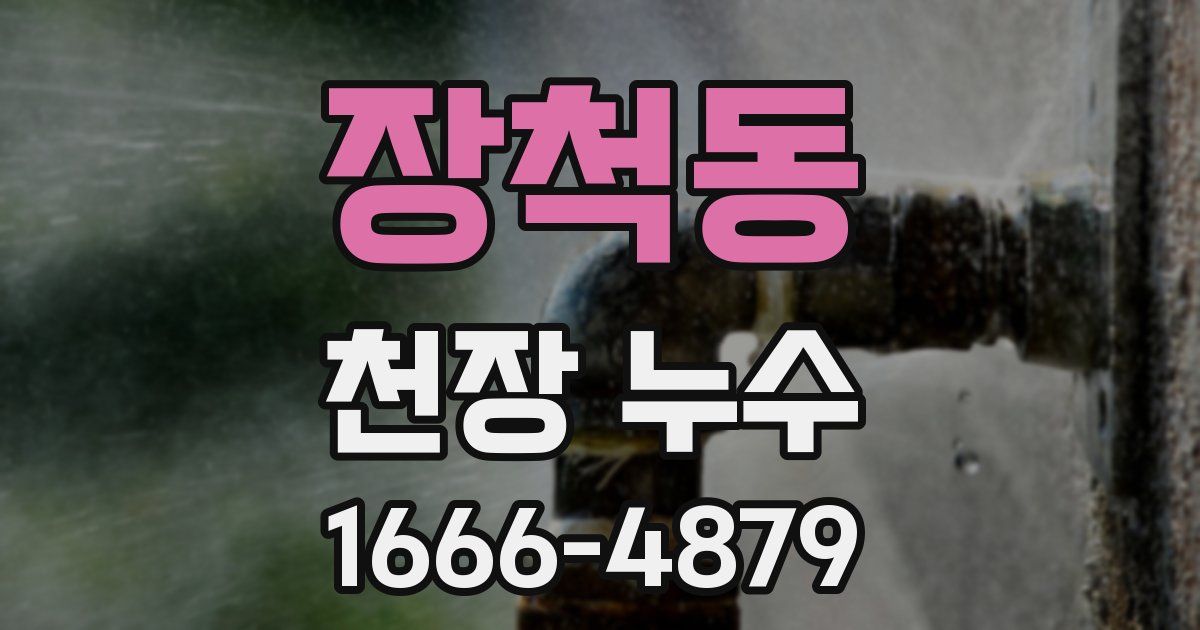 장척동 천장 누수