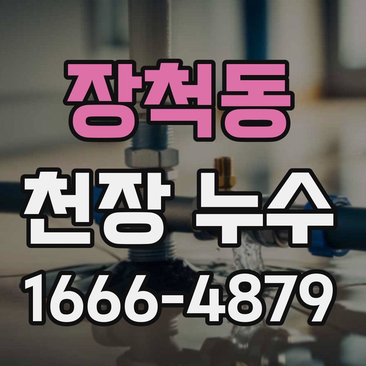 장척동 천장 누수