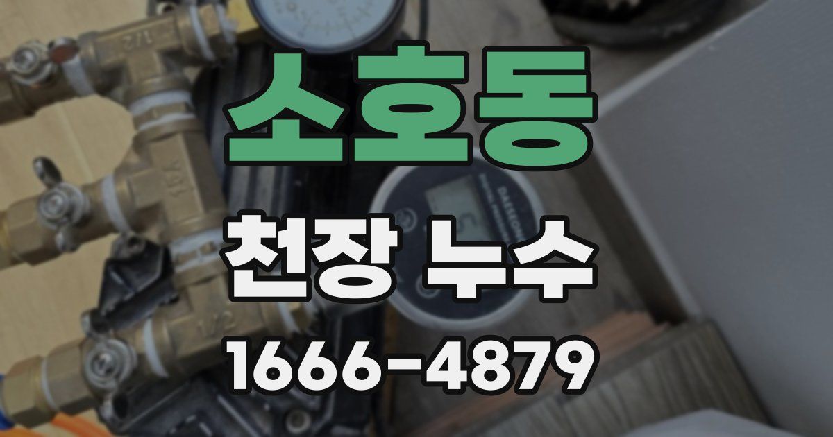 소호동 천장 누수