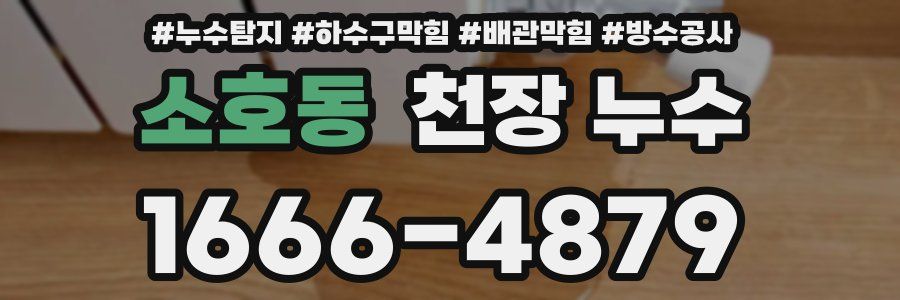 소호동 천장 누수