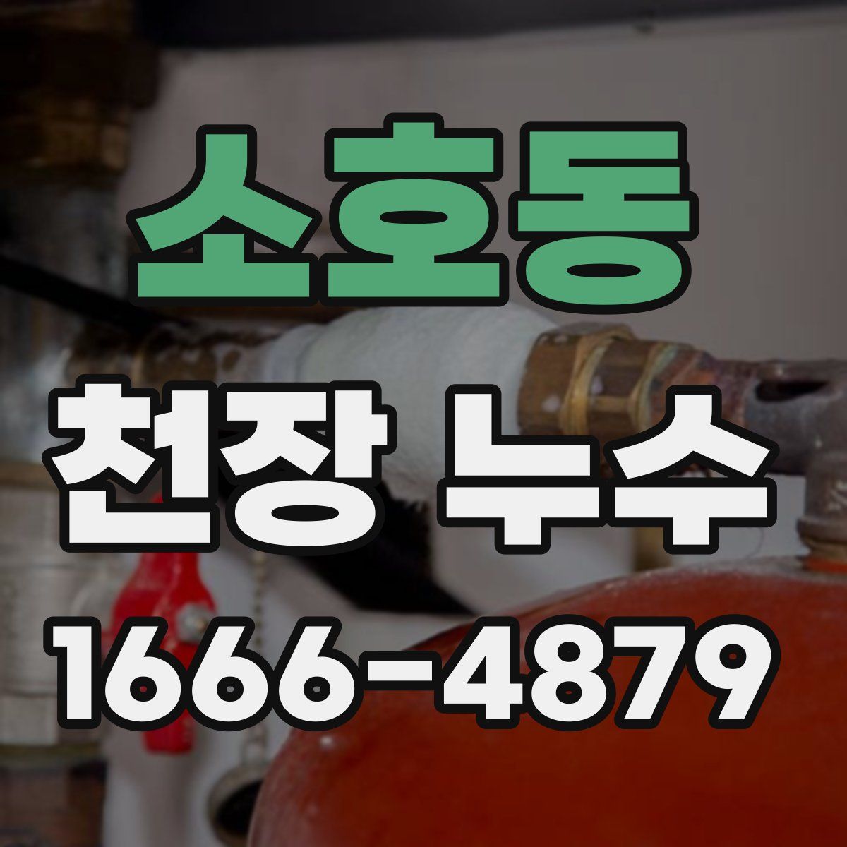 소호동 천장 누수