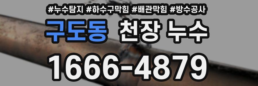 구도동 천장 누수