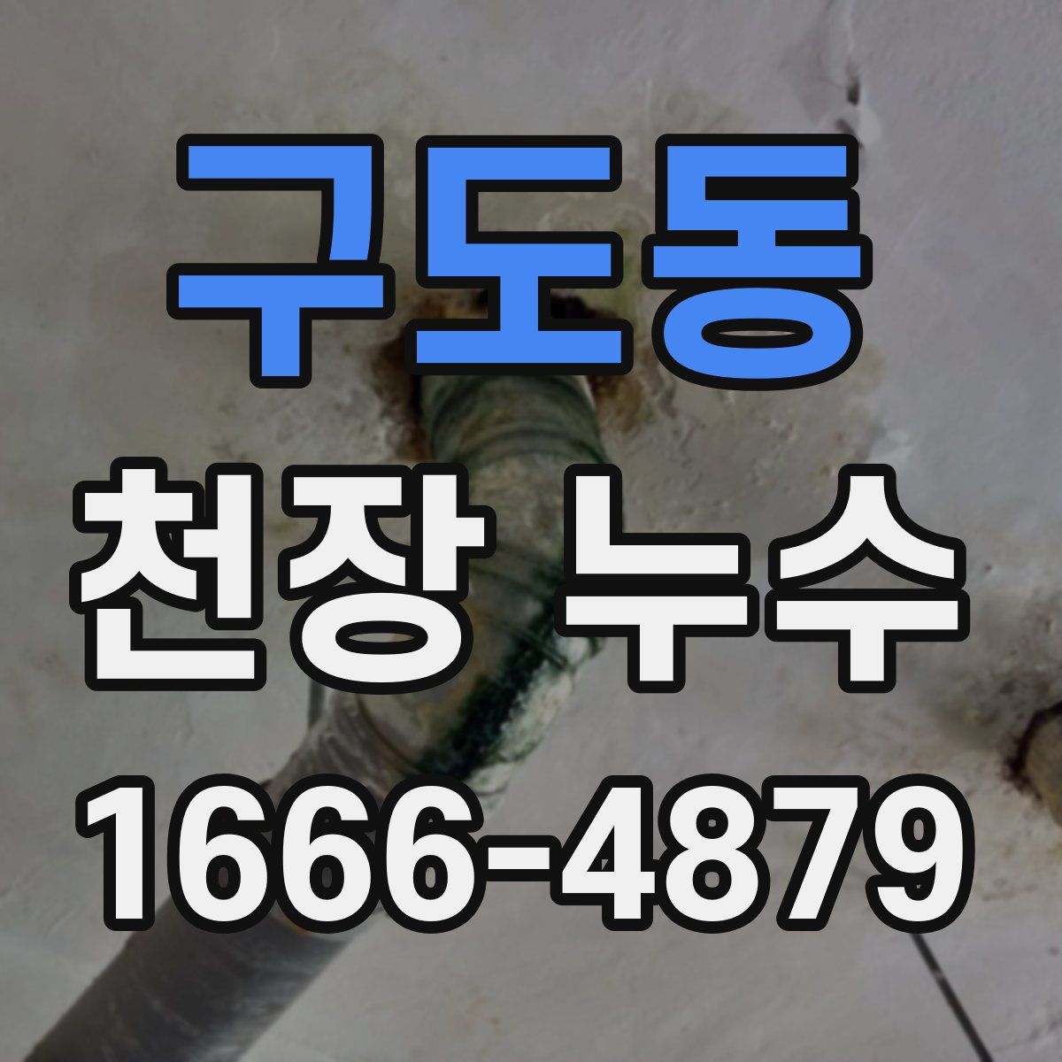 구도동 천장 누수