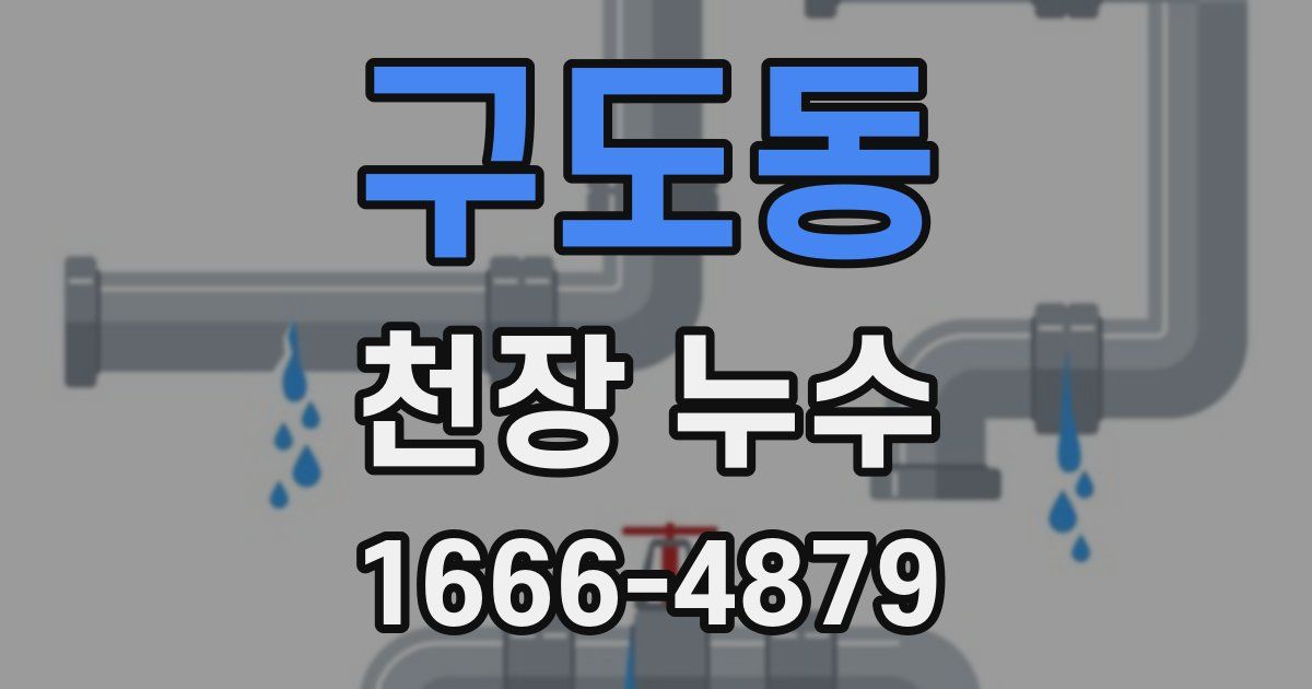 구도동 천장 누수