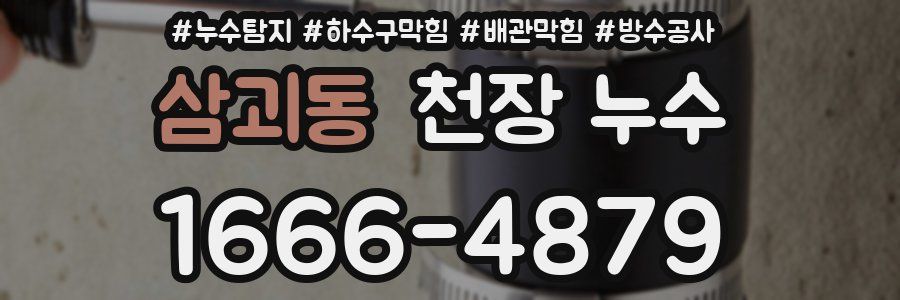 삼괴동 천장 누수