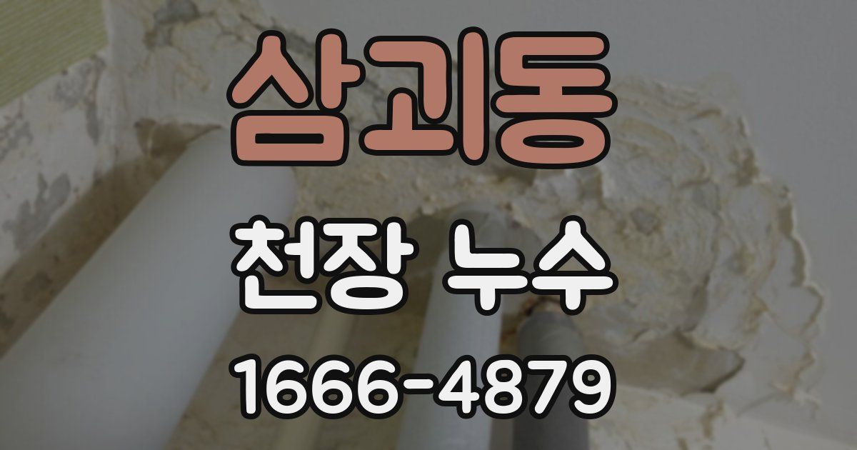 삼괴동 천장 누수