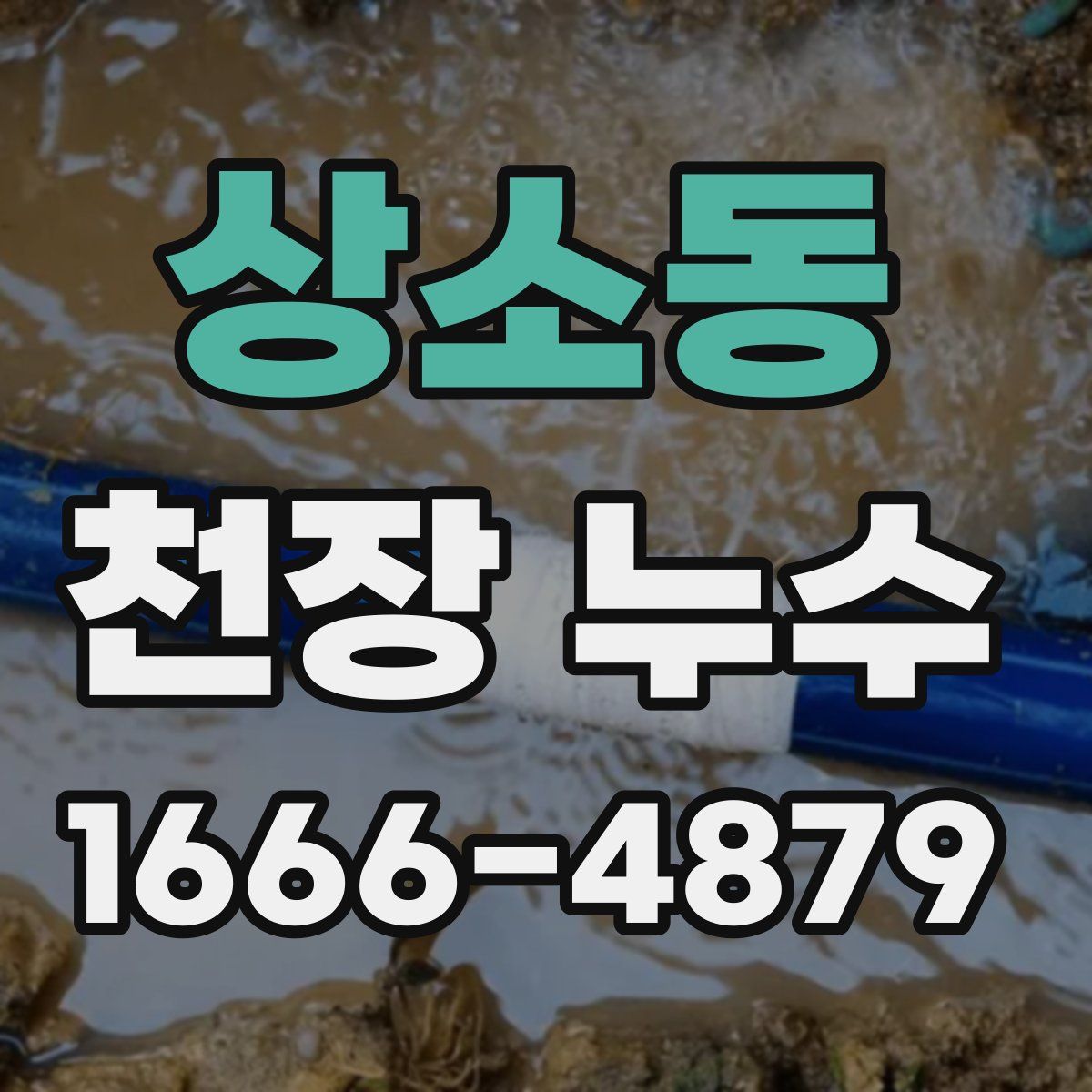 상소동 천장 누수